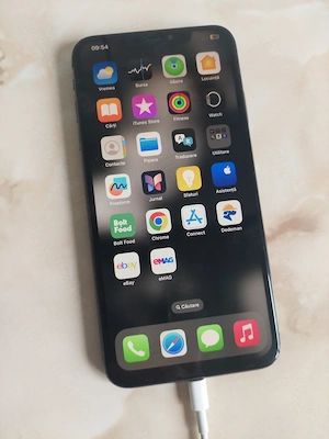 [XsMax] Vând Apple iPhone Xs Max [cu câteva probleme] + BONUS [poze reale]