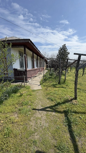 Casa plus teren 3000 mp - imagine 4