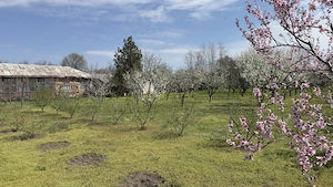 Casa plus teren 3000 mp - imagine 6