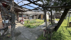 Casa plus teren 3000 mp - imagine 5