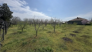 Casa plus teren 3000 mp - imagine 7