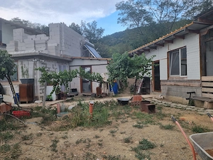  Vand urgent ,Casa cu vedere la Dunare , zona turistica 3 km moldova noua jud caras Severin  - imagine 7