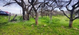  Teren Construibil 2900 mp cu 2 deschideri la asfalt – livadă matură, DN 72A - imagine 6