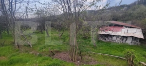  Teren Construibil 2900 mp cu 2 deschideri la asfalt – livadă matură, DN 72A - imagine 5