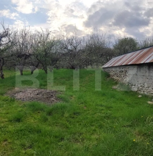  Teren Construibil 2900 mp cu 2 deschideri la asfalt – livadă matură, DN 72A - imagine 12