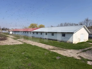 Oportunitate de investitie!!! Ferma de animale( fost CAP)  5000 mp teren