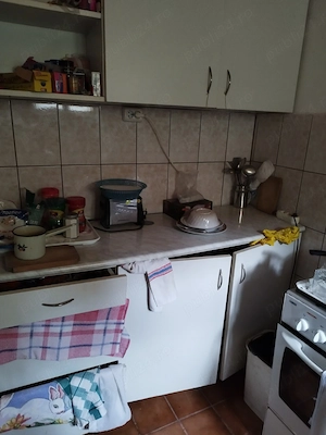 Cabana de vanzare in zona Cartisoara - imagine 7