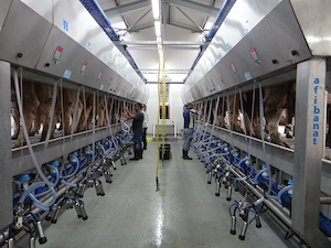 Tehnician echipamente de muls