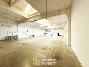 Hală industrială 431 mp de închiriat – central Arad, acces TIR - imagine 2