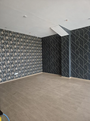 Voluntari inchiriere spatiu show-room si spatii hale - imagine 6