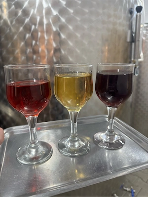 vin natural alb rosu roze