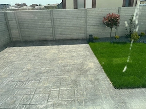 Pantelimon -str.Calarasi, vila P+1ET - imagine 10