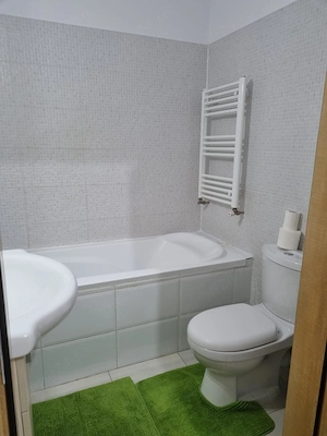 Apartament 2 camere Aleea Mizil- Theodor Pallady - imagine 2