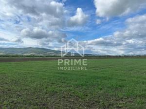 TEREN INTRAVILAN 1600 mp - OARDA