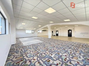 Spatiu pentru birouri/activitati – 190 mp in Sacalaz - Curte privata - imagine 2