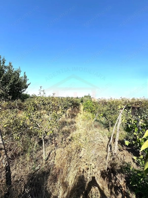 Cabana din lemn+ teren 2000 mp , 105.000 Euro negociabil, zona Metro - imagine 10