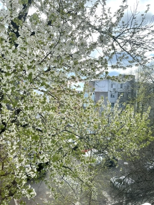 🏡 Apartament 2 camere, etaj 3, stradal – zonă excelentă Micro 40 - imagine 15