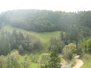 Teren Vama Buzăului 17.657 mp cu râu și pădure   aproape de Cascada Urlătoarea - imagine 2