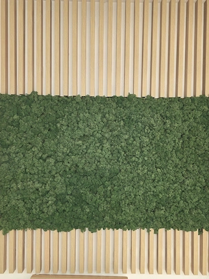 Perete licheni 5.6 mp lemn masiv tip riflaj pret redus 9800 lei