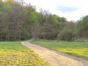 Parcele de vanzare INTRE IAZURI Talmaciu - imagine 4