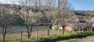 Vanzare casa-sat Santioana, comuna Taga