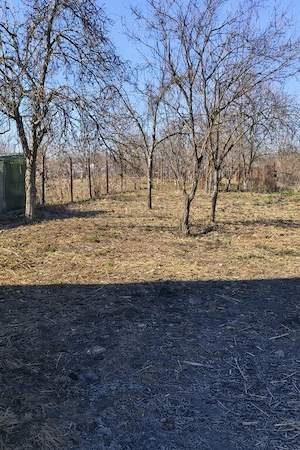 Vand casa în Dărmănești jud.Dambovita  - imagine 3