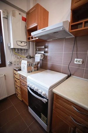 metalurgiei drumul binelui aurel persu - imagine 12