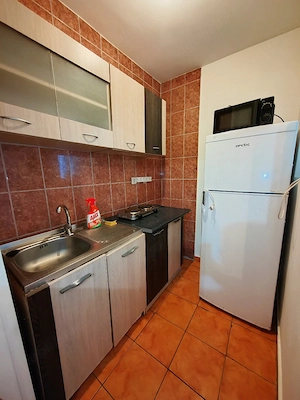 Inchiriez apartament cu 1 camera aproape de Iulius Mall  - imagine 2