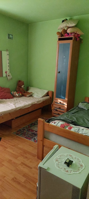 De vânzare apartament cu 2camere Aleșd  - imagine 5