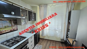Apartament 2 Camere BANAT Confort 1 Semidecomandat Etaj 1 Mobilat Și Utilat Liber - imagine 5