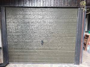 Usa sectionala de garaj 2500x2000