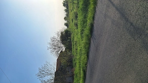 Teren intravilan 955mp Sânmihaiu German  - imagine 3