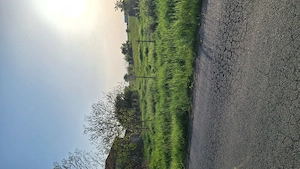 Teren intravilan 955mp Sânmihaiu German  - imagine 2