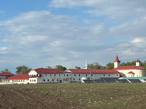 Casa la Sag, zona Manastirii - imagine 7