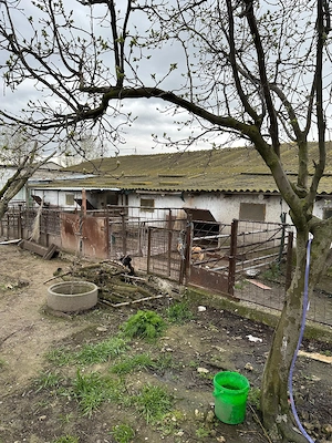 De vânzare grajd fostă fermă în Stelnica (IL) - imagine 9
