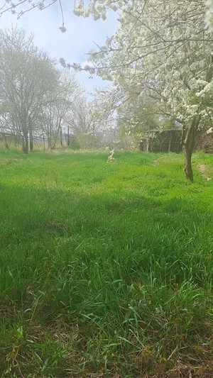 casa de vanzare - imagine 3