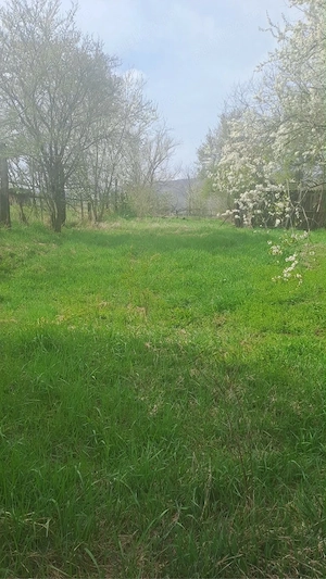 casa de vanzare - imagine 4