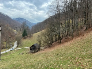 Teren intravilan 1.28ha Remeti–perfect pensiune/cabane, zonă turistica - imagine 6