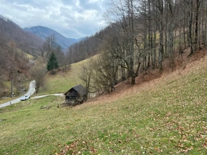Teren intravilan 1.28ha Remeti–perfect pensiune/cabane, zonă turistica
