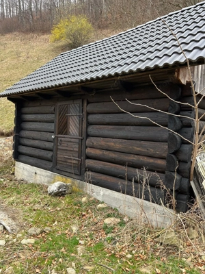 Teren intravilan 1.28ha Remeti–perfect pensiune/cabane, zonă turistica - imagine 3