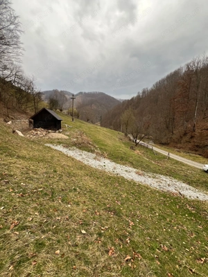 Teren intravilan 1.28ha Remeti–perfect pensiune/cabane, zonă turistica - imagine 7