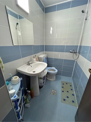 Casa de vacanta la 30 km de Bucuresti - imagine 9