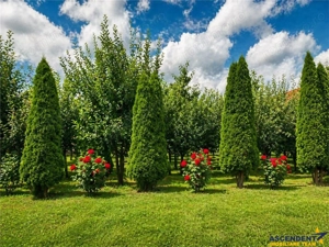 Pretios teren intravilan 1.409 mp, livada, utilitati,rezidential  comercial, zona premium - imagine 5