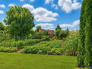 Pretios teren intravilan 1.409 mp, livada, utilitati,rezidential  comercial, zona premium - imagine 3