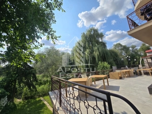 Casa de vanzare, potential pensiune, pe malul Timisului,Sag,comision 0 - imagine 4