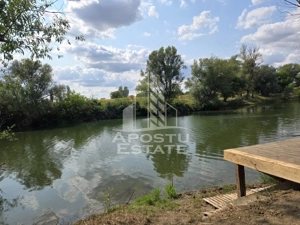 Casa de vanzare, potential pensiune, pe malul Timisului,Sag,comision 0 - imagine 2