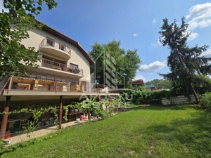 Casa de vanzare, potential pensiune, pe malul Timisului,Sag,comision 0 - imagine 3