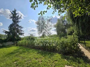 Casa de vanzare, potential pensiune, pe malul Timisului,Sag,comision 0 - imagine 5