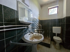 Casa de vanzare, potential pensiune, pe malul Timisului,Sag,comision 0 - imagine 13