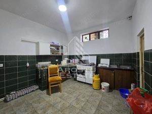 Casa de vanzare, potential pensiune, pe malul Timisului,Sag,comision 0 - imagine 17